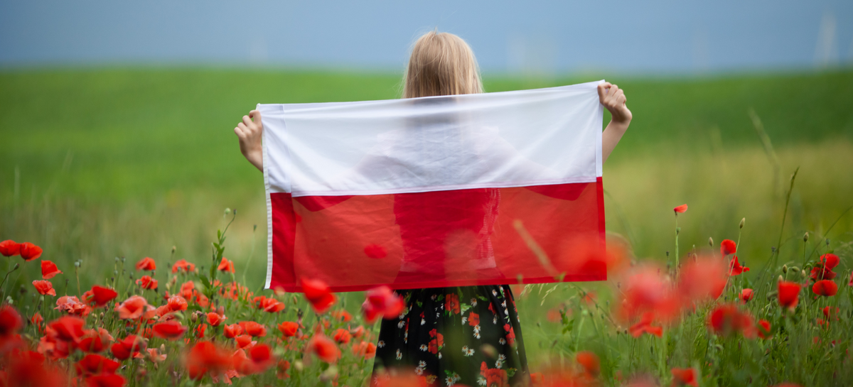 Celebrating Polish Constitution Day: A Time of National Pride and Cult ...
