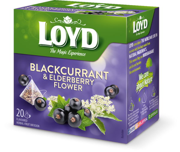 Loyd - Blackcurrant & Elderberry Flower Tea